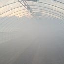 농업회사법인(주)성주 이미지