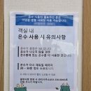 예미지숲속의아침작은도서관 | 용인자연휴양림 가마골1 3월에 가도 너무 좋은 용자휴 숲속의집 방문후기