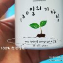 건돌이