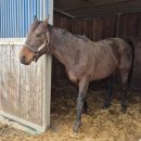 유인목장 이미지