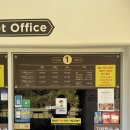 동백 숲속애견랜드 | 제주 동쪽 놀거리! 기차타고 떠나는 '에코랜드 테마파크' 솔직후기