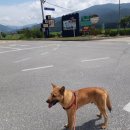 (주)태백사료 이미지