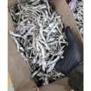 기선권현망수산업협동조합(멸치권현망수협) 이미지