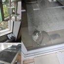 본오동한양아파트 | 안산시 본오동 한양아파트 고양이 방충망 틀 제작, 잠금장치 필수 시공 후기