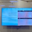 (주)제이씨메디칼 | 메디컬오 탄력리프팅 팔자주름없애기 콜라겐리액터실 후기 압구정 피부과관리 추천