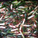 협동이용소 이미지