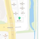 The dog 애견미용샵 이미지