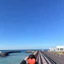 구산로 | 🍊 2025 가을 제주여행 (롯데시티호텔 후기/도두항/곽지해변/9.81제주/맛집추천)