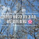 석촌상가 앞 횡단보도 | 석촌호수 벚꽃 후기, 주말 방문 주차 꿀팁까지 직접 다녀온 솔직후기