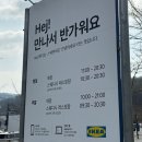 호호호커피숍 | 이케아 딸기 아이스크림 후기 | 봄에만 먹을 수 있는 계절 한정 와플콘 1,500원