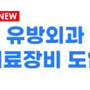 현홍