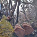 대신건재 이미지