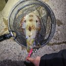 힛트방