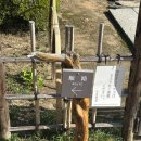 [히로시마 2박3일 3일차] 슛케이엔 정원, 히로시마미술관, 돈키호테쇼핑, 히로시마공항