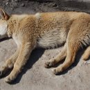 고막농장 이미지