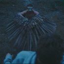 애니멀킹덤 이미지