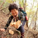 석이식당 이미지