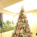 글로어도넛 이미지