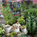 남해우리집 이미지