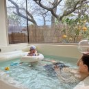 멍쿠실낭 이미지