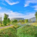 시민공원 남문 인근-5 | 충청도 3월 여행지 추천 개화시기 맞춘 산수유 매화 명소 및 당일치기 봄꽃 나들이 베스트 5