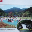 찰비관광농원 이미지