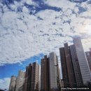 (주)운정골 이미지