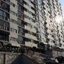 하단동213 이미지