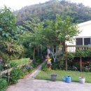 버들치민박 이미지