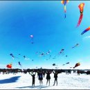 자라섬 관광안내소 이미지