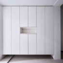 무지개화이트 이미지