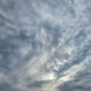 채선농장 이미지