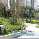 예솔초등학교 이미지