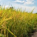 금강기계공업(주) 이미지