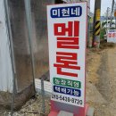 미현농장 이미지