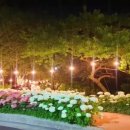 월아산자락 - 사하구 낙동남로1405번길 10-11 | 월아산자락