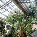 평창농원 이미지