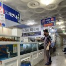 막썰어회도매센타 이미지