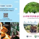 24시용역