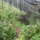 벌재농장 이미지