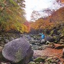 한라산/천아숲~숨은물뱅듸~붉은오름~살핀오름 이미지