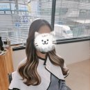 후타고인천붙임머리 이미지