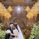 수목 스크린 | W. 포항 더누벨 웨딩컨벤션 예식 생생후기1편😊(더누벨, 로즈로사, 설영)