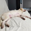 동막여관 이미지