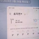 비 그친후 짬 사시상황버섯 산행.199 (1시간만 수확좋고 망치분실) 이미지