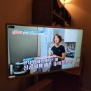 당신의봄날 강남대치점