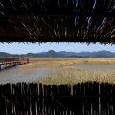 선학경로당 이미지