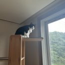 조원뽑기방 이미지