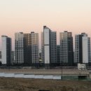 두마리토끼 이미지