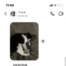 처가네치킨 이미지